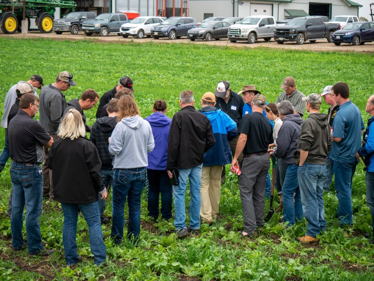Group of farmers looking at cover crops in a field