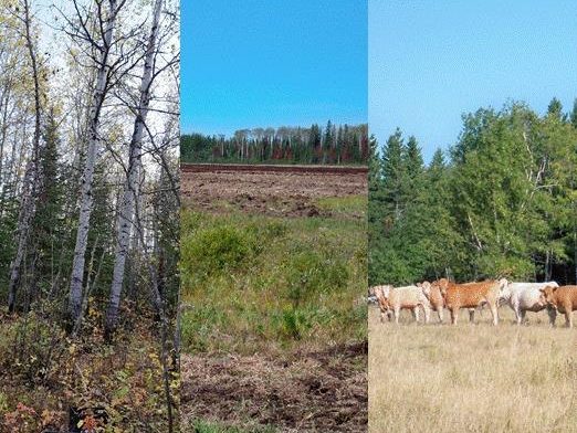 Three different land uses: forest, arable, and pasture