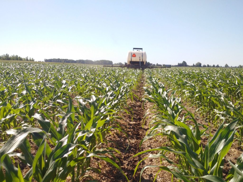 Tractor applying a sidedress nitrogen application to corn