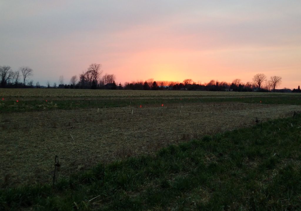 Sunrise over a farm field