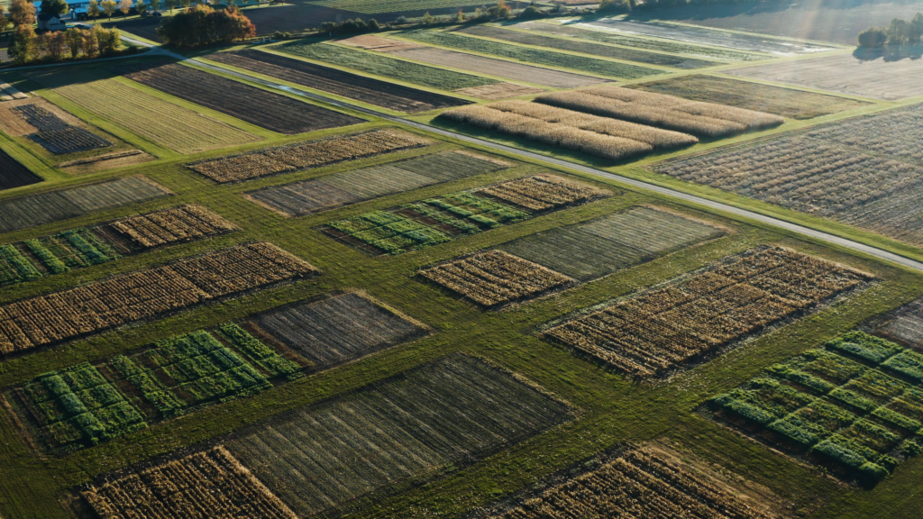 Aerial view of crop rotation research plots